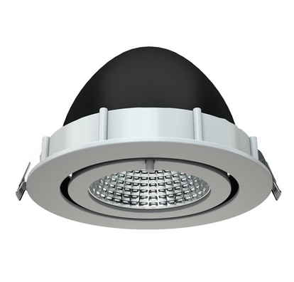 Светильники DLZ LED направленного света