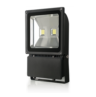 Светодиодный прожектор 100W
