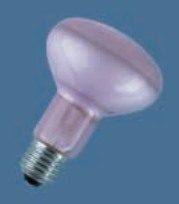 OSRAM CONCENTRA SPOT NATURA